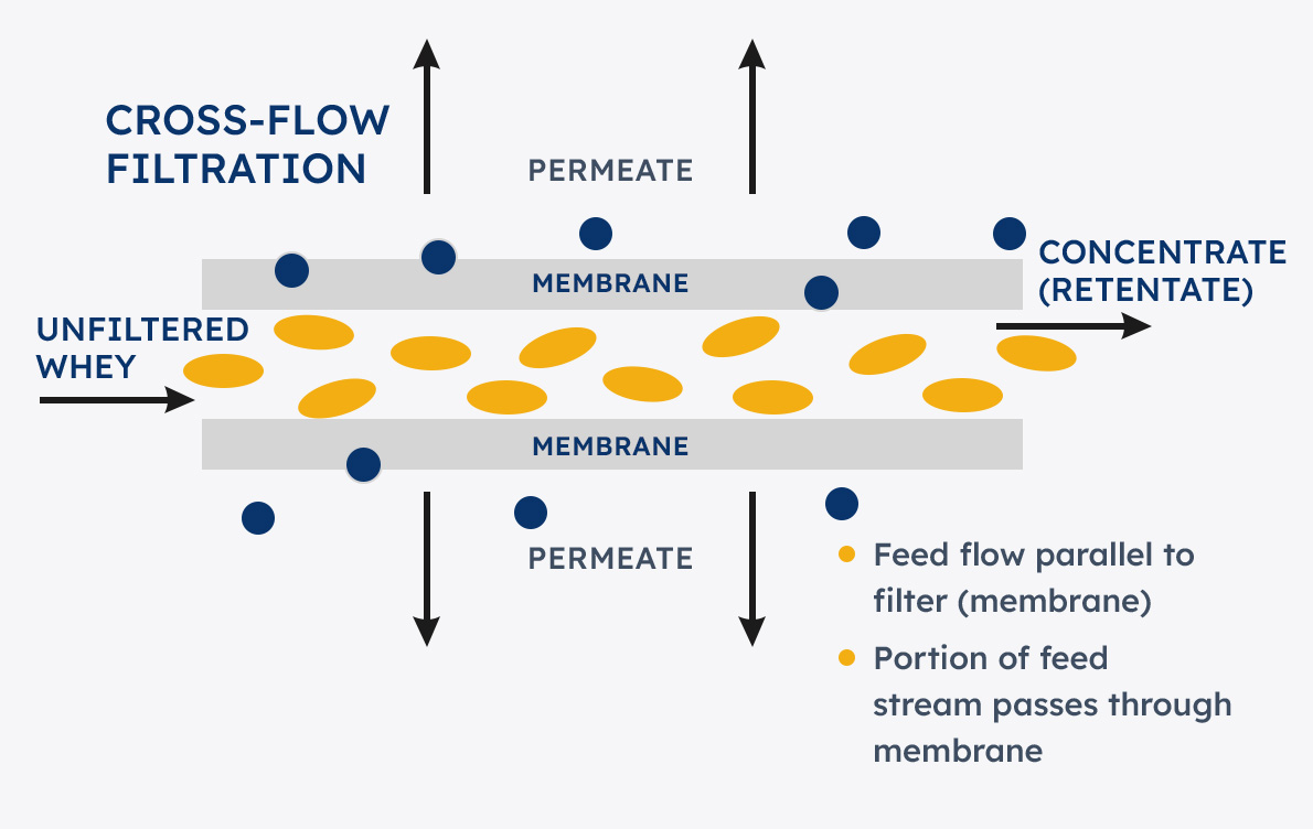 membrane-img